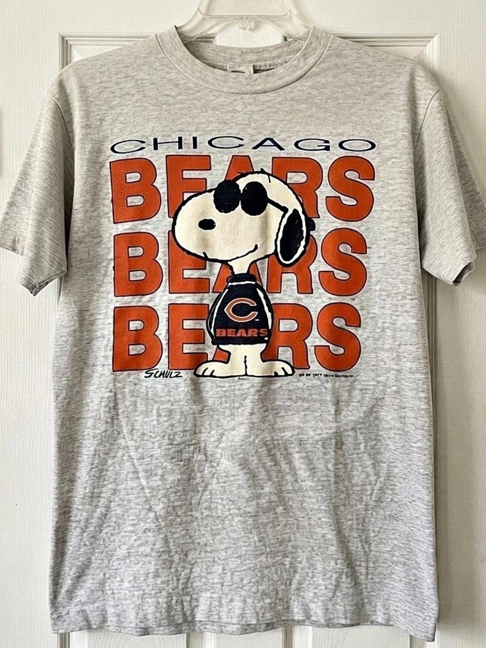 Chicago Bears Graphic Tee in Gray
